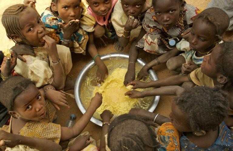 Hunger Pangs: The Heart-Breaking Reality Behind Global Hunger