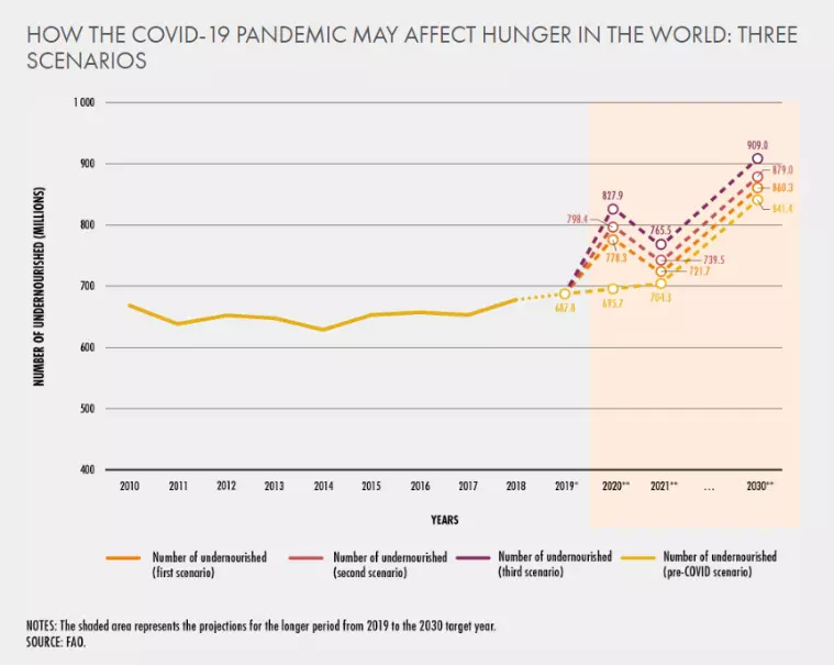 Hunger Pangs: The Heart-Breaking Reality Behind Global Hunger
